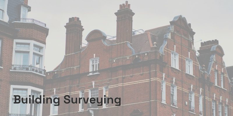 Services-Building-Surveying-scaled